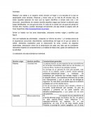 Actividad avistaje de aves