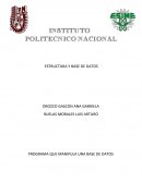 Estructura y Base de datos