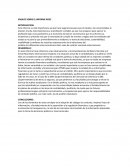 ENSAYO SOBRE EL INFORME ROSC