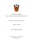 Capítulo 5: Lenguaje