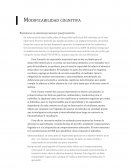 Experiencia de aprendizaje mediado