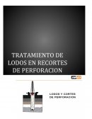BIOESTIMULACIÓN Y BIORREMEDIACIÓN DE RECORTES DE PERFORACIÓN CONTAMINADOS CON HIDROCARBUROS
