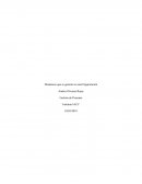 Dinamicas que se genera en una organizacion. El Lobo de Wall Street