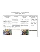 REPORTE DE ACTIVIDAD DE LECTURA