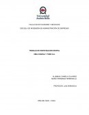 TRABAJO DE INVESTIGACION GRUPAL VIÑA CONCHA Y TORO S.A.