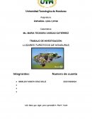 TRABAJO DE INVESTIGACION LUGARES TURISTICOS