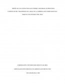 DISEÑO DE UNA ESTRATEGIA QUE PERMITA MEJORAR LOS PROCESOS LOGÍSTICOS DEL TRANSPORTE DE CARGA DE LA EMPRESA MULTISERVICIOS SAN MARTIN CON ENFOQUE PMI- MGA