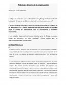 Práctica 3 Diseño de la organización
