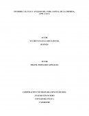 Informe análisis y cálculo del EVA, UODI, CPPC