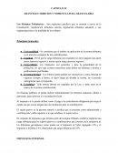 ARANCELES TRIBUTOS Y NOMENCLATURA ARANCELARIA