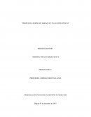 Diseño empaque y plan estrategico