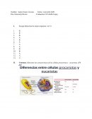 Microbiologia. Evaluación #1/UAGM-Cupey