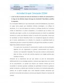 Actividad Grupal: Simulador CESIM