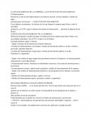 EL FINANCIAMIENTO DE LA EMPRESA. LAS FUENTES DE FINANCIAMIENTO