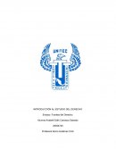 Fuentes del Derecho e integración de la jurisprudencia mexicana