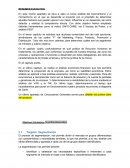 RESUMEN EJECUTIVO . El proceso de segmentación