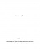 Teorias de conflicto. Tarea 4: Teorías / Perspectivas
