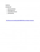 NIIF 15 INGRESOS DE ACTIVIDADES ORDINARIAS PROCEDENTES DE CONTRATOS CON CLIENTES