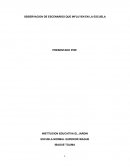 OBSERVACION DE ESCENARIOS QUE INFLUYEN EN LA ESCUELA