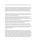 Ciclo Celular