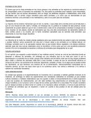 Experimentación en animales