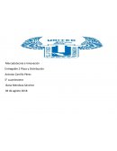 Mercadotecnia e Innovación . Plaza y Distribución