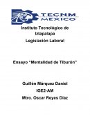 Mentalidad de Tiburón de Manuel Sotomayor