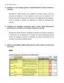 Diseno organizacional Manufactura Cecilita