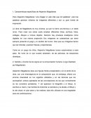 Características específicas de Alejandro Magallanes