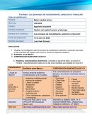 Gestión del capital humano y liderazgo (Los procesos de reclutamiento, selección e inducción)