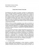 Ensayo Sobre Formatos Comerciales