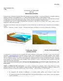 Guías de actividades: Formación para la soberanía nacional