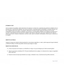 PROYECTO SALUD OCUPACIONAL. Página 1