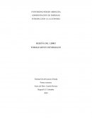 Reseña Formalmente Informales Autor Camilo Herrerra