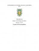 La guerra de los navegadores