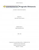 Auditoria financiera, Empresa SPORTWATER SAS