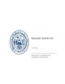 Desarrollo y evaluación de campañas publicitarias