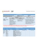 Programa educativo: Mercadotecnia Internacional