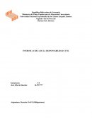 INFORME ACERCA DE LA RESPONSABILIDAD CIVIL