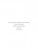 Conceptos generales sobre la Administración de Recursos Informáticos
