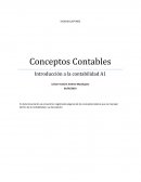 Introduccion a la contabilidad, concepto básico