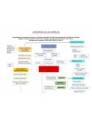 Mapa Mental Fisiología Vegetal