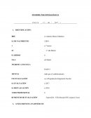 INFORME PSICOPEDAGÓGICO