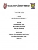 Práctica: “CURVA DE DOSIS RESPUESTA”