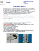 TRAYECTORIA Y TRAYECTO