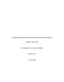 Conceptos generales sobre la Administración de Recursos Informáticos