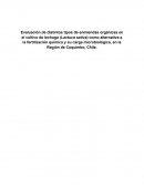 Evaluación de distintos tipos de enmiendas orgánicas en el cultivo de lechuga (Lactuca sativa) como alternativa a la fertilización química y su carga microbiológica, en la Región de Coquimbo, Chile