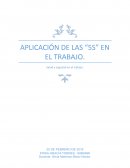 APLICACIÓN DE LAS “5S” EN EL TRABAJO