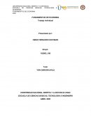 FUNDAMENTOS DE ECONOMIA Trabajo individual