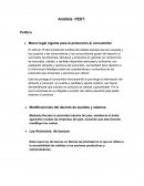 Análisis PEST. Político